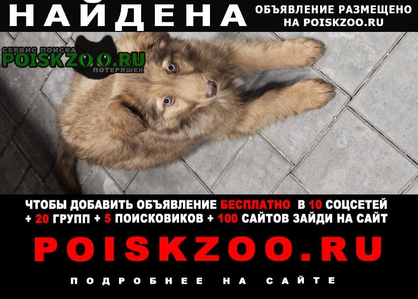 ���� ������� ������ ������ �����