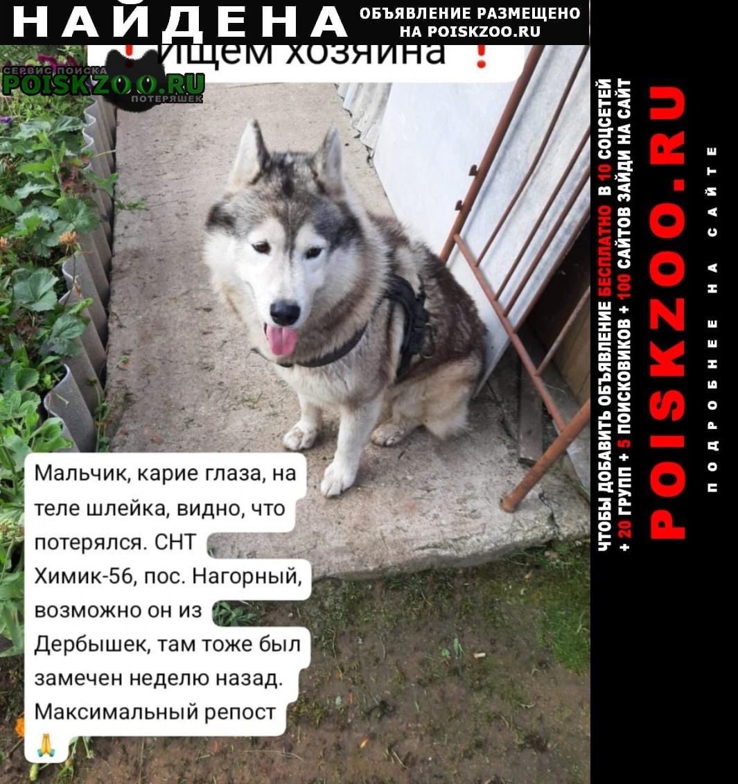    kseniyabulygina 