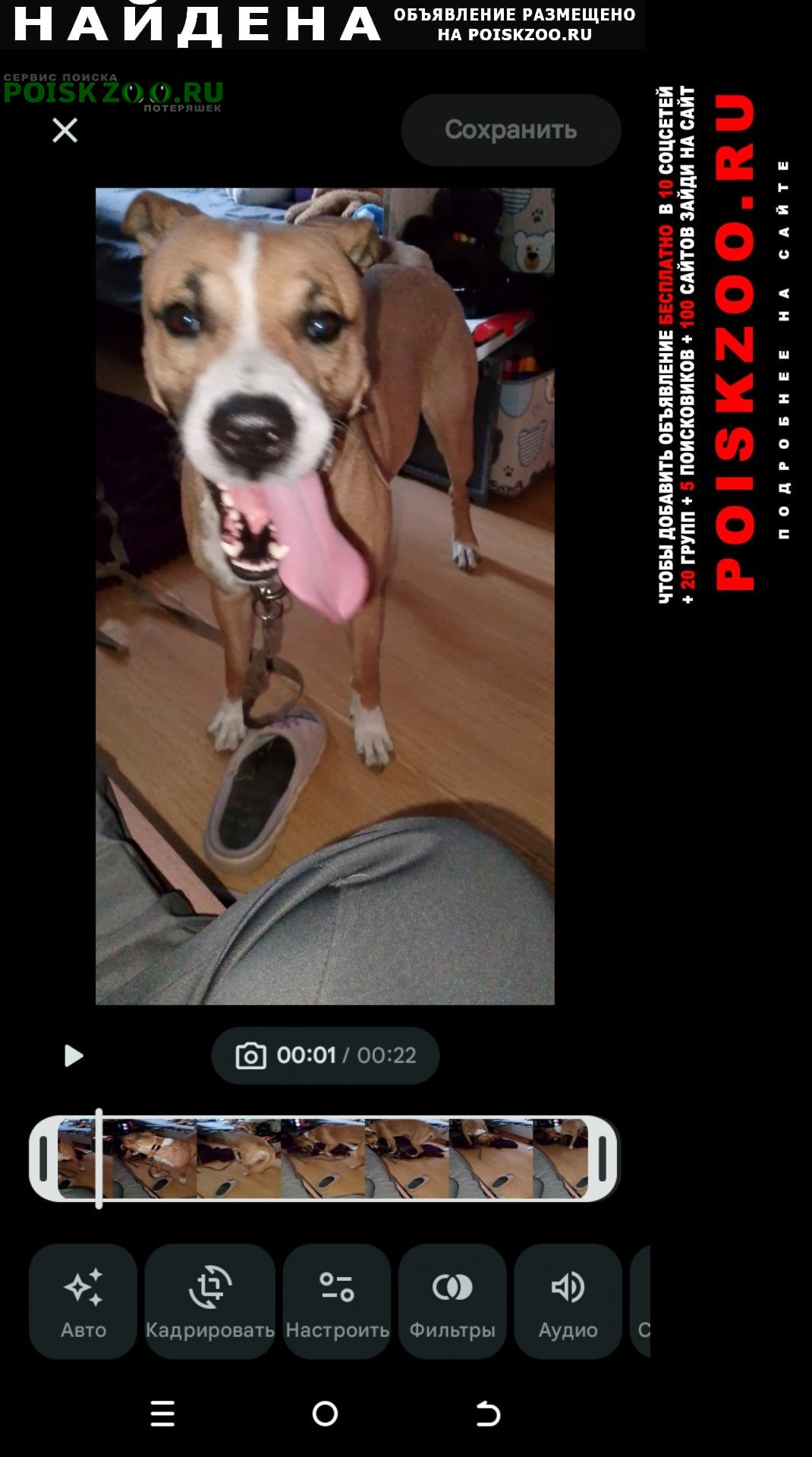 ���� ������� ������ ������ ������ ������� � ������ ����-����