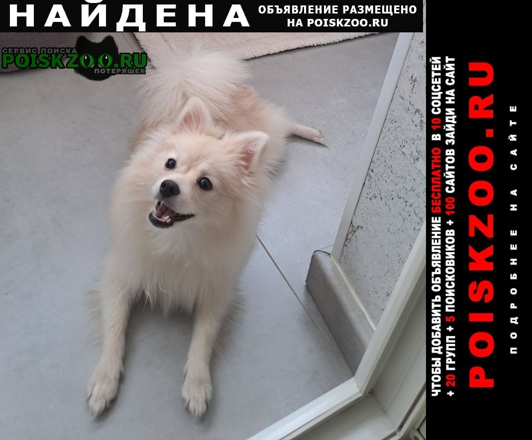 ���� ������� ������ ����� ���� ������