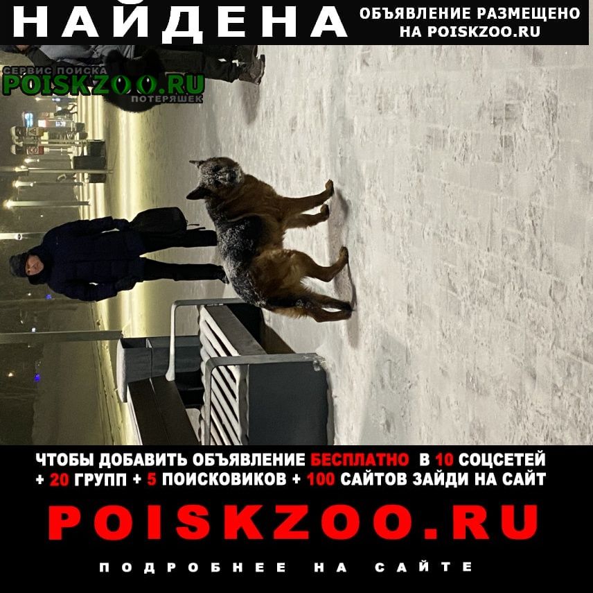 ���� ������� ������ ������� � ������� (���������� ���. )