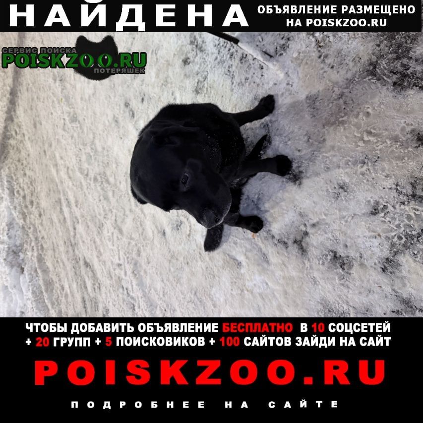 ���� ������� ������ ������ ��