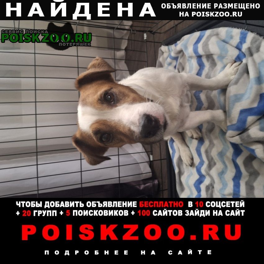 ���� ������� ������ ������ ���� ������, ������