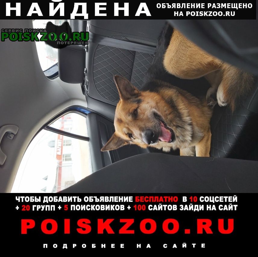 ���� ������� ������ ������ �������� �������