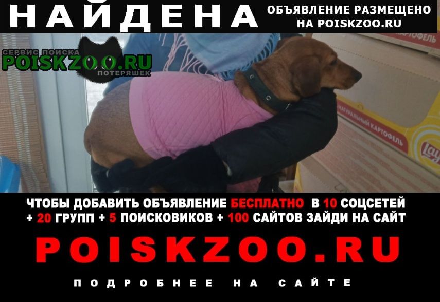 ���� ������� ������, ������ �����