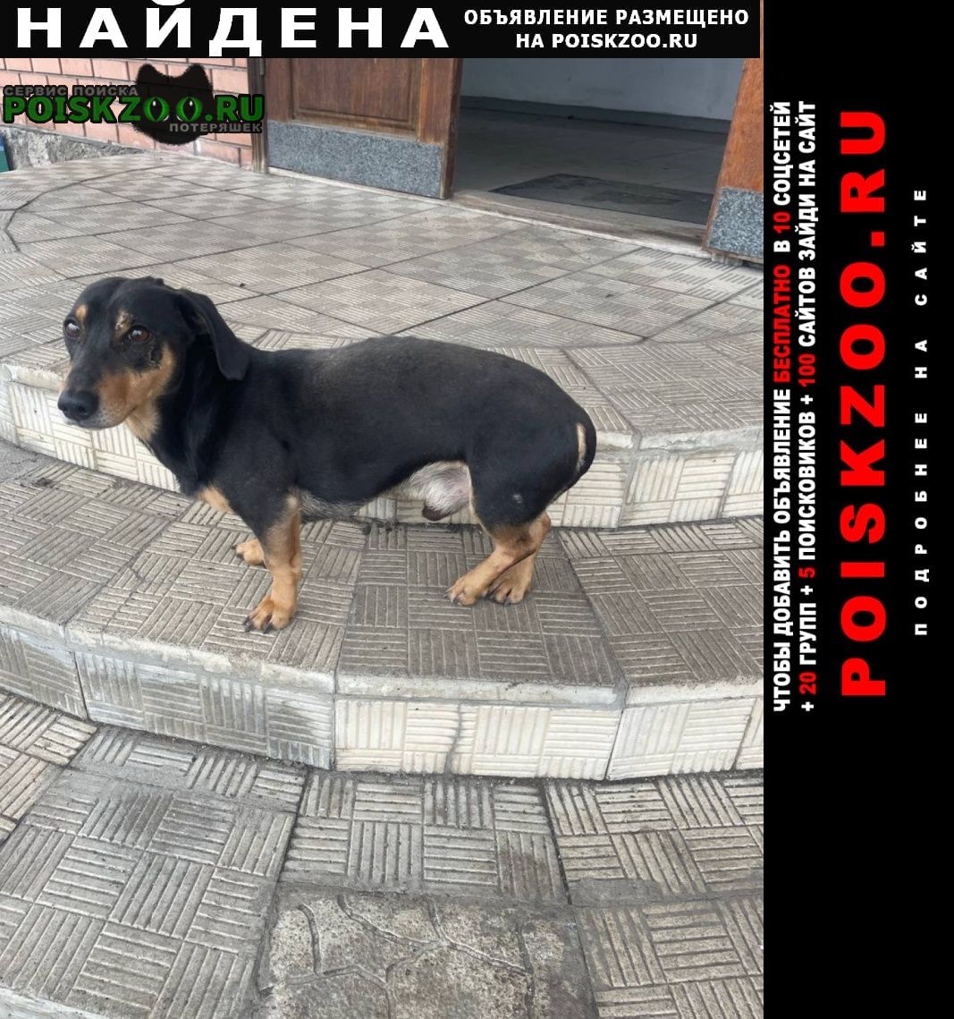 ���� ������� ������ ������ �������� ���������