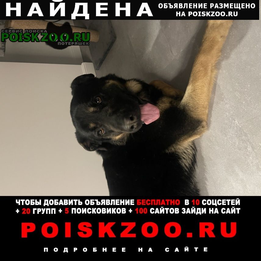 ���� ������� ������ ������ ���� �������