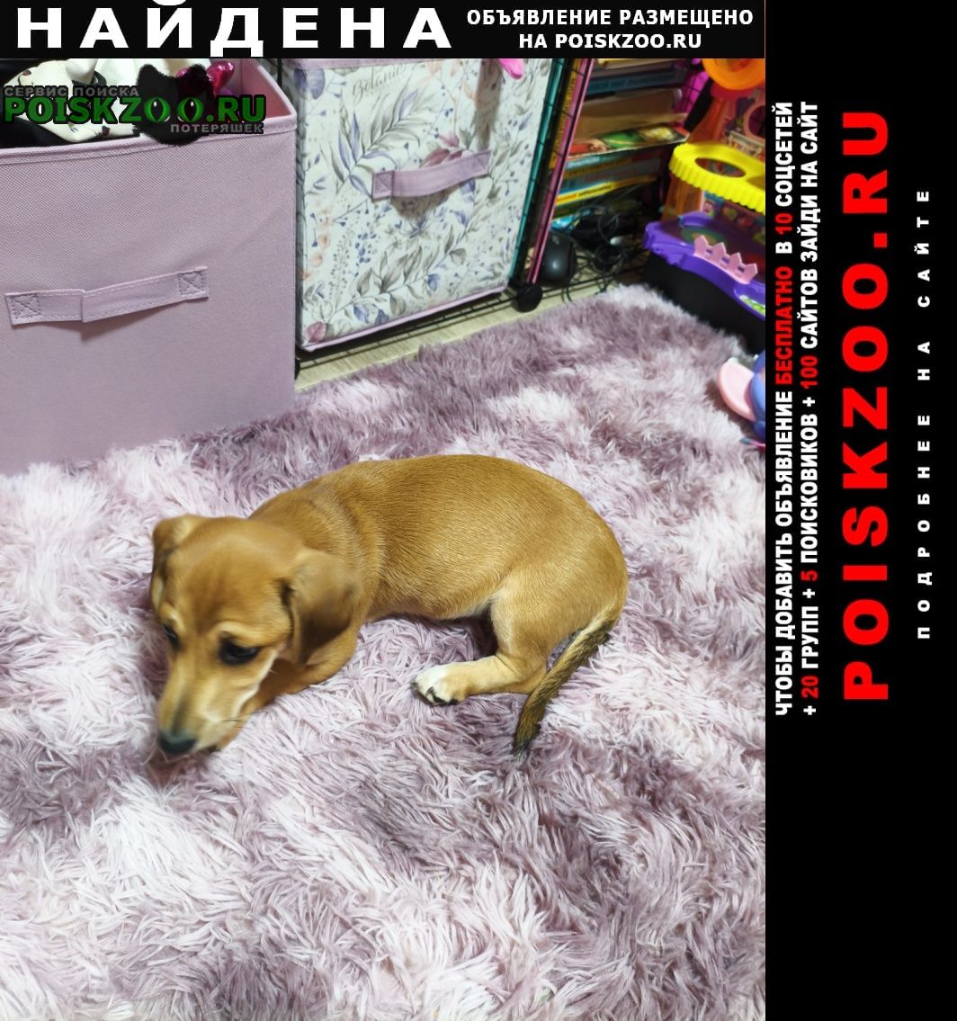 ���� ������� ������