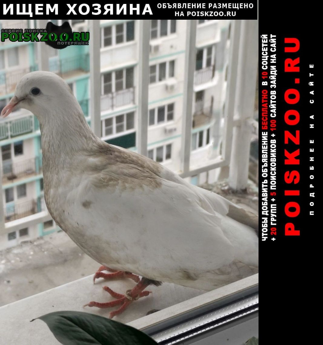 ���� ������� �������� �������� ������ ����� ������