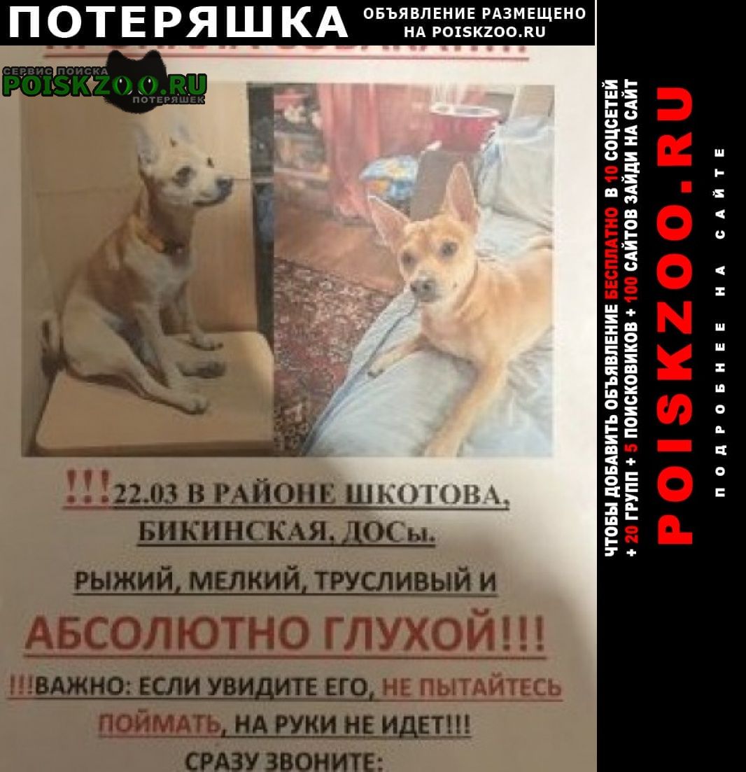 ���� �������� ����� ������ ������