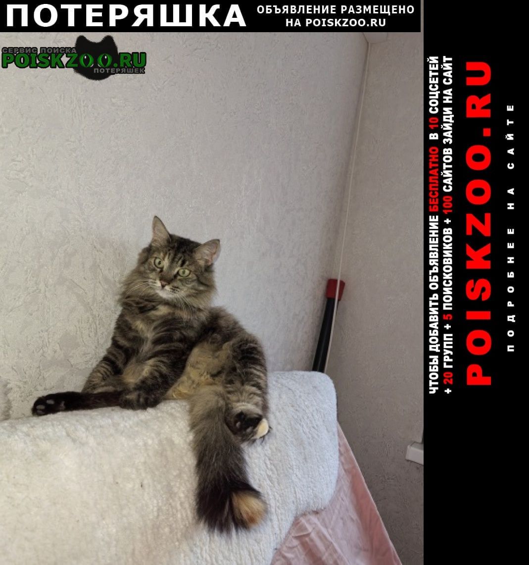 ���� ������� �����