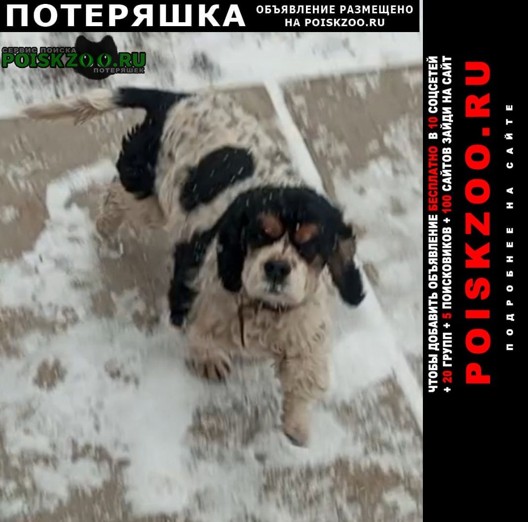 ���� ������� ������ ����� �������� ����� �����