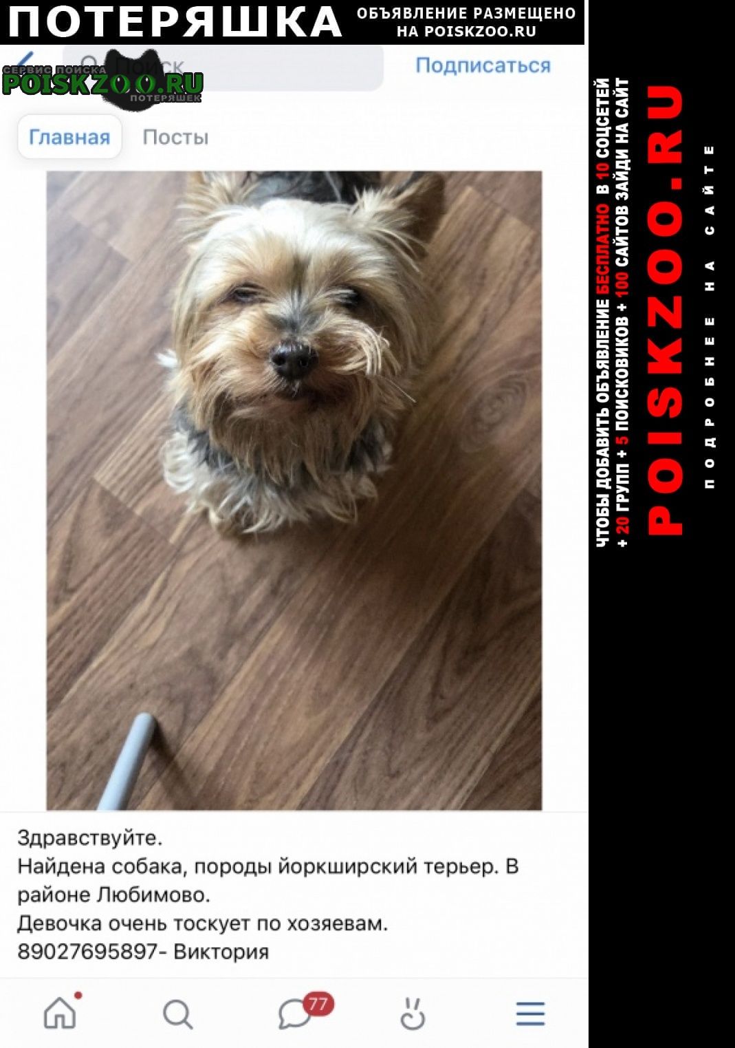 ���� ������� ������ ����������� ������