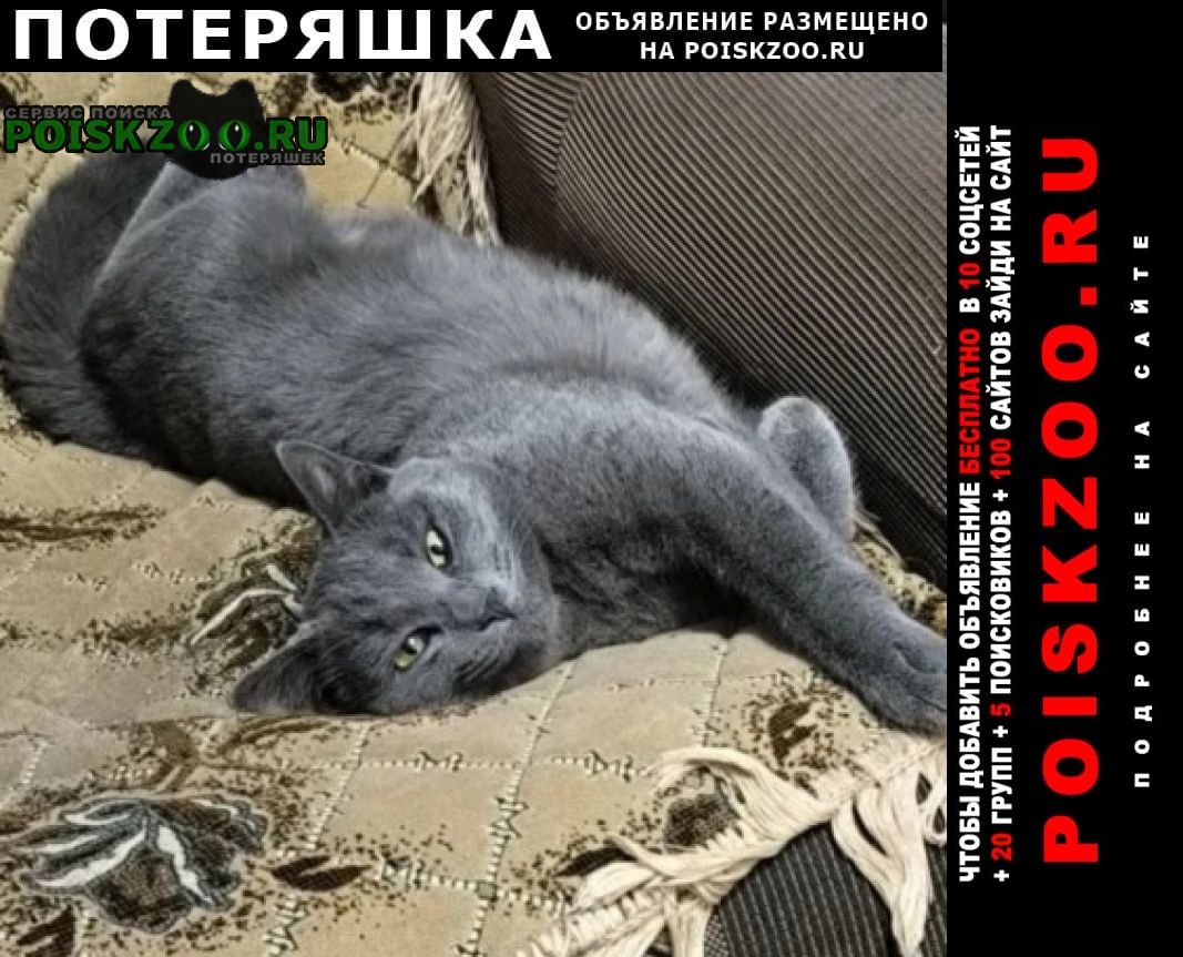 ���� ������ �����