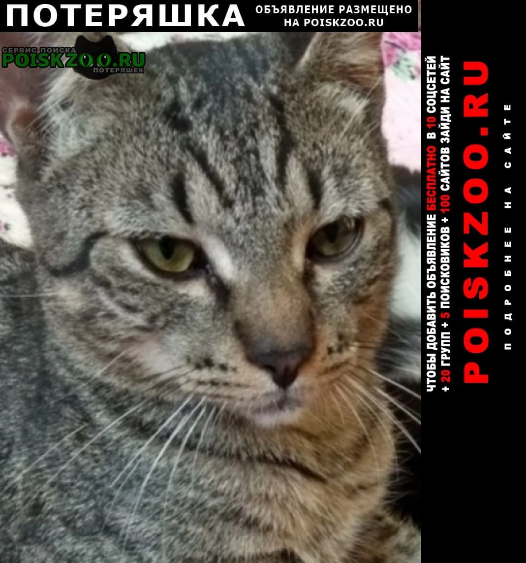 ���� ������ ���