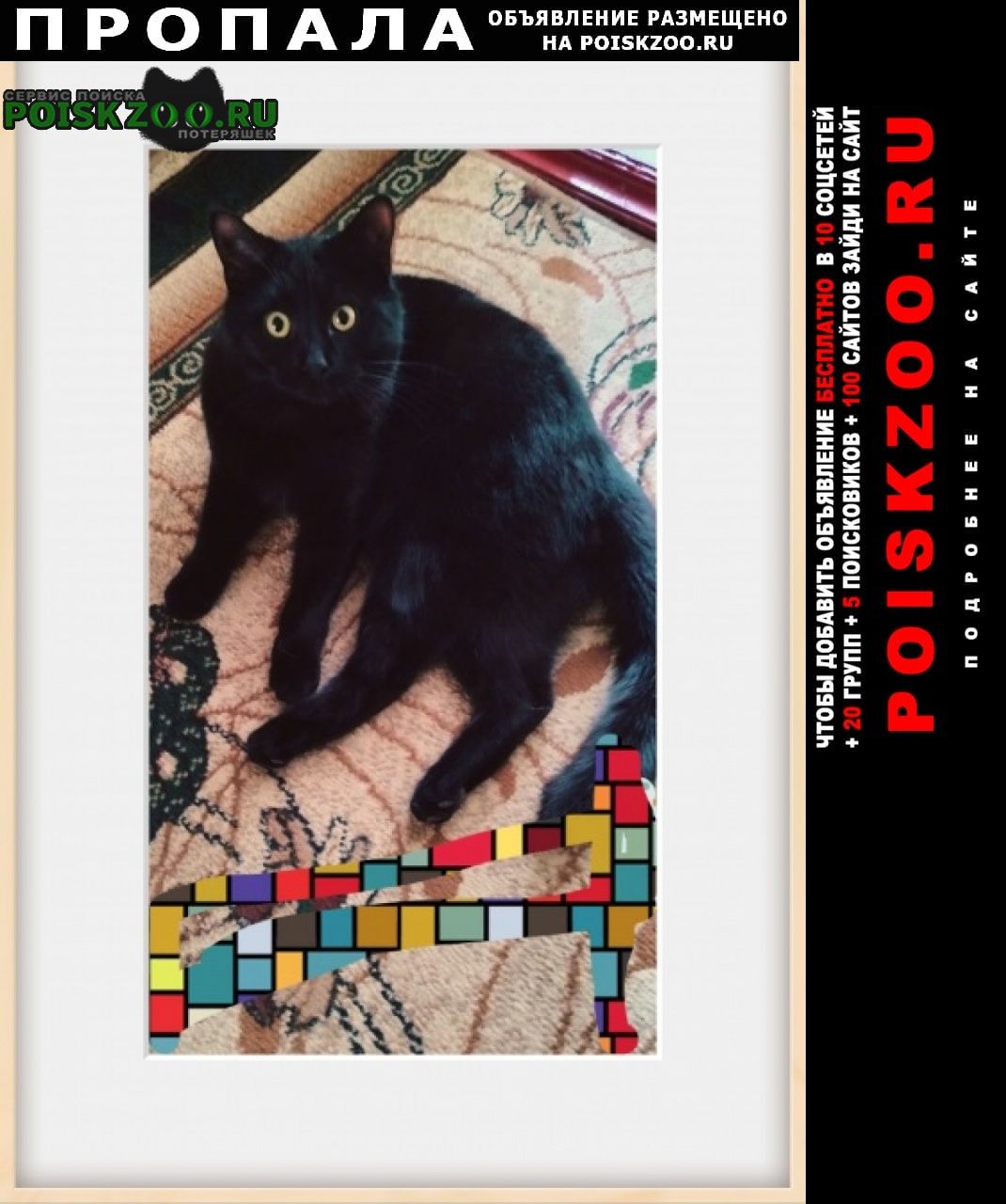 ���� ������ ��� ����.