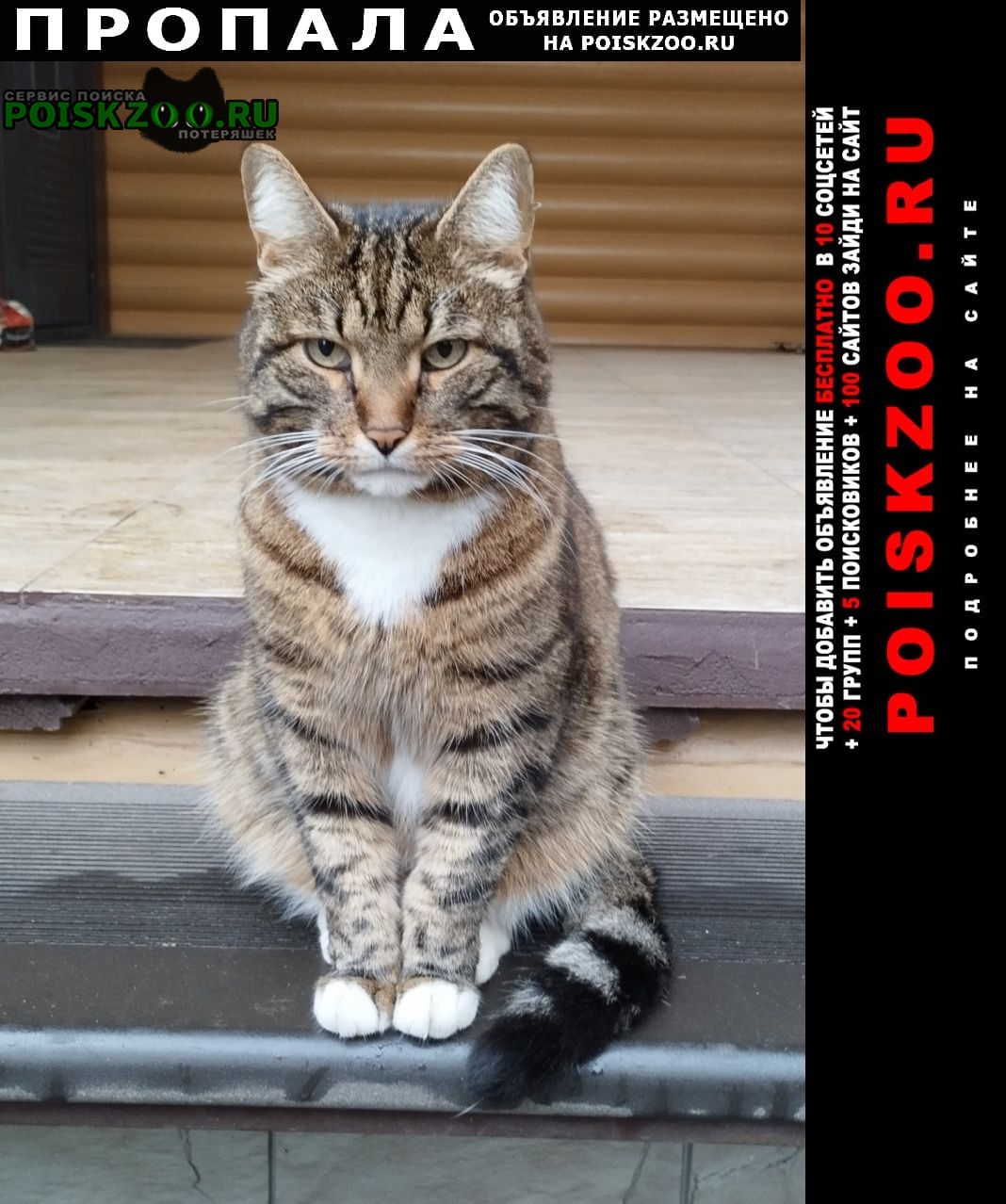 ���� ������ ��� �����