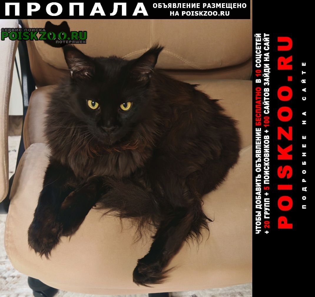 ���� ������ ���