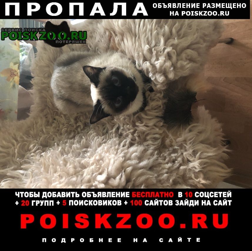 ���� ������� ����� ����