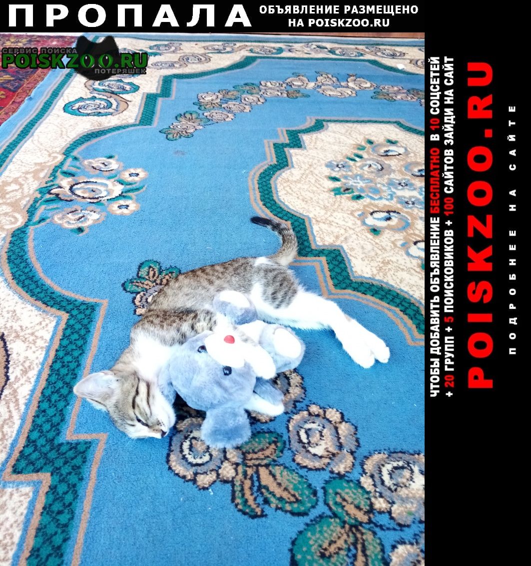 ���� ������� �����