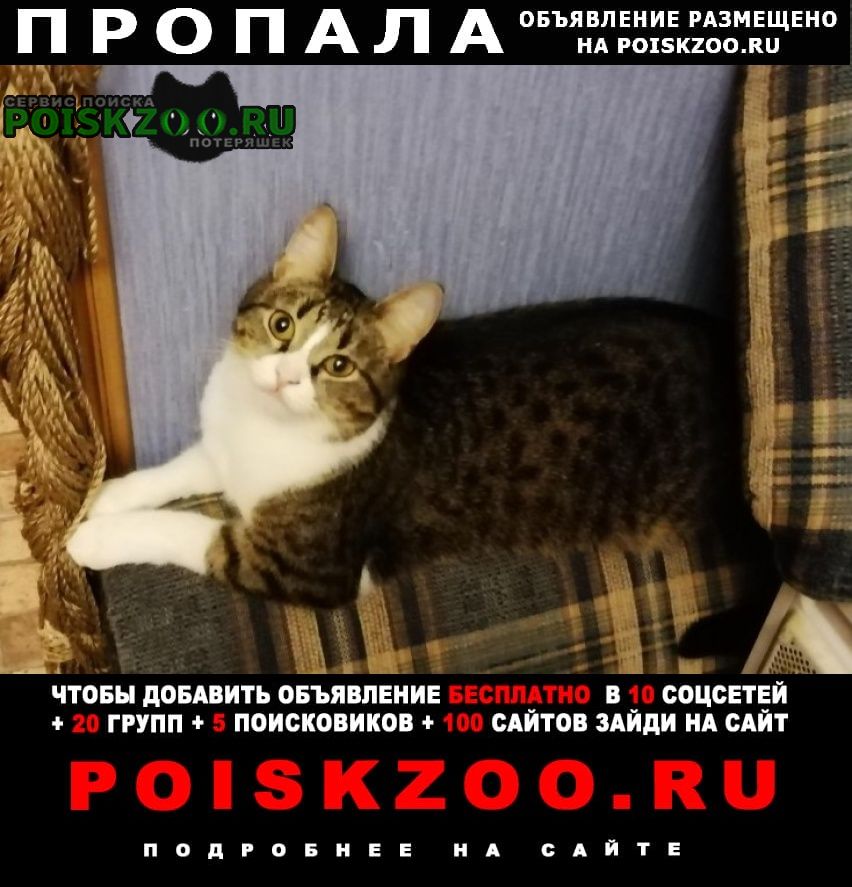 ���� ������� ����� �������� �����