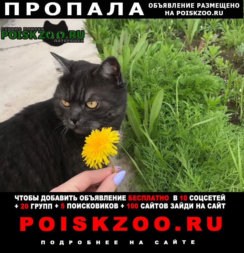 ���� ������� ����� � ������, ������