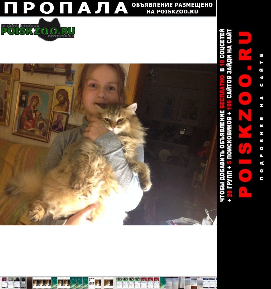 ���� ������� �����