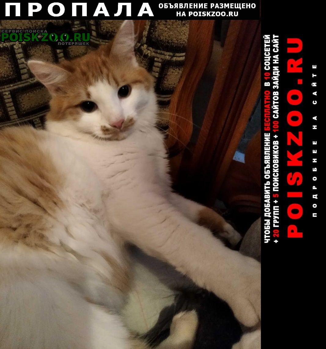 ���� ������ ��� ��.