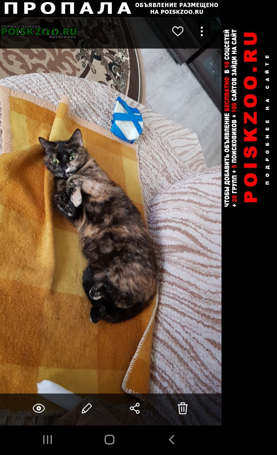 ���� ������� ����� ����� ����