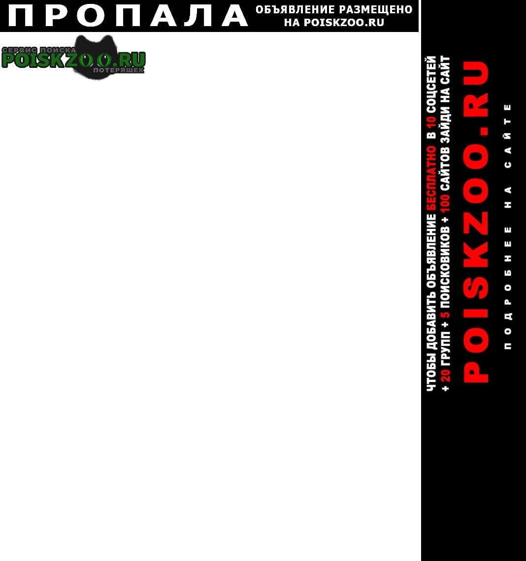 ���� ������ ��� ���� ��� � �������� ����������� �