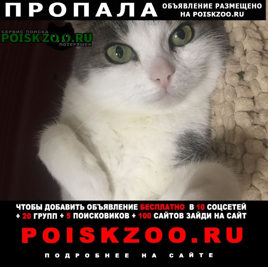 ���� ������� �����