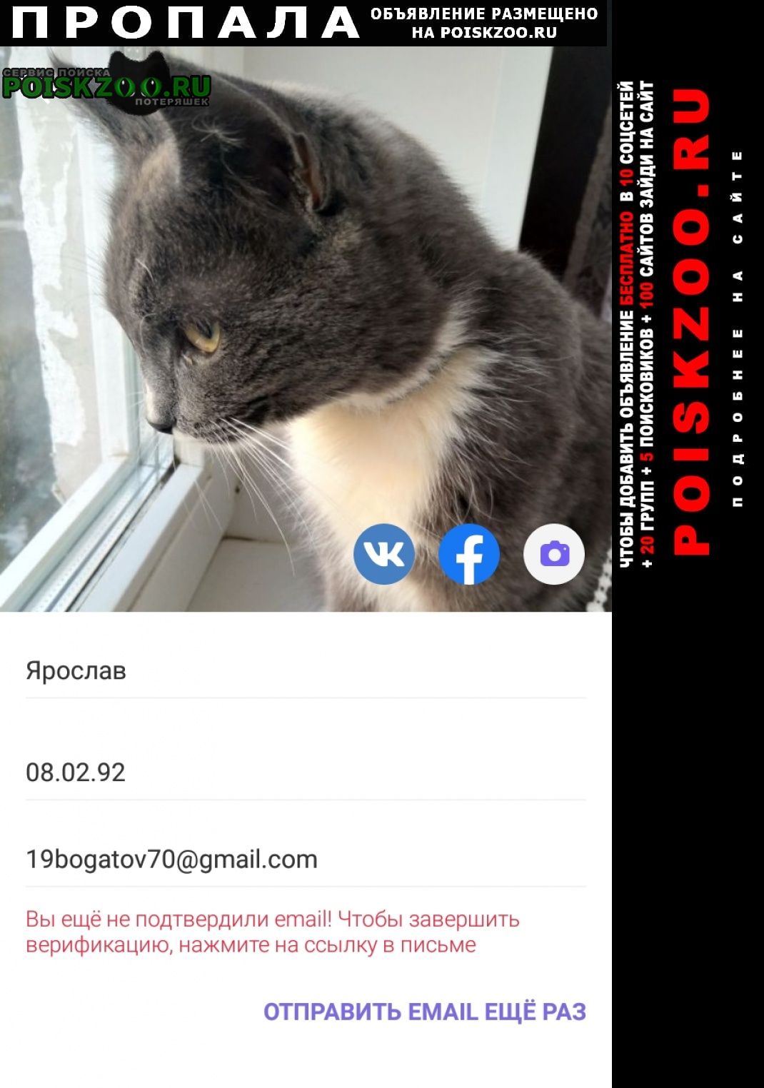 ���� ������ ���