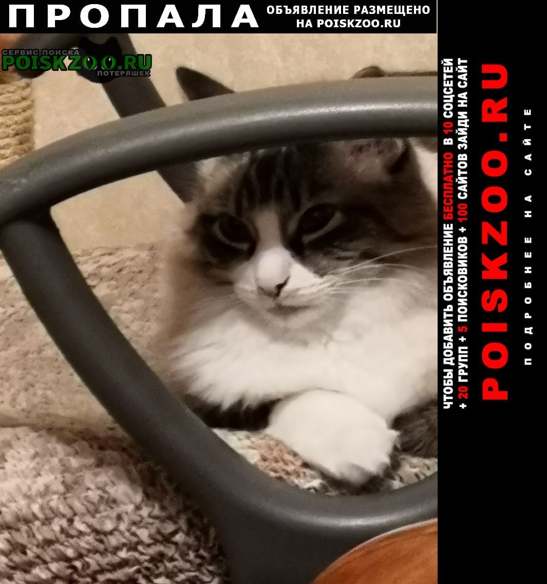 ���� ������ ��� ��. ��������������