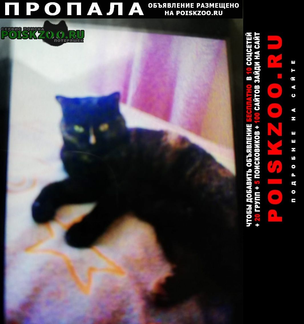 ���� ������� ����� ����� 4�������. ��������� 10