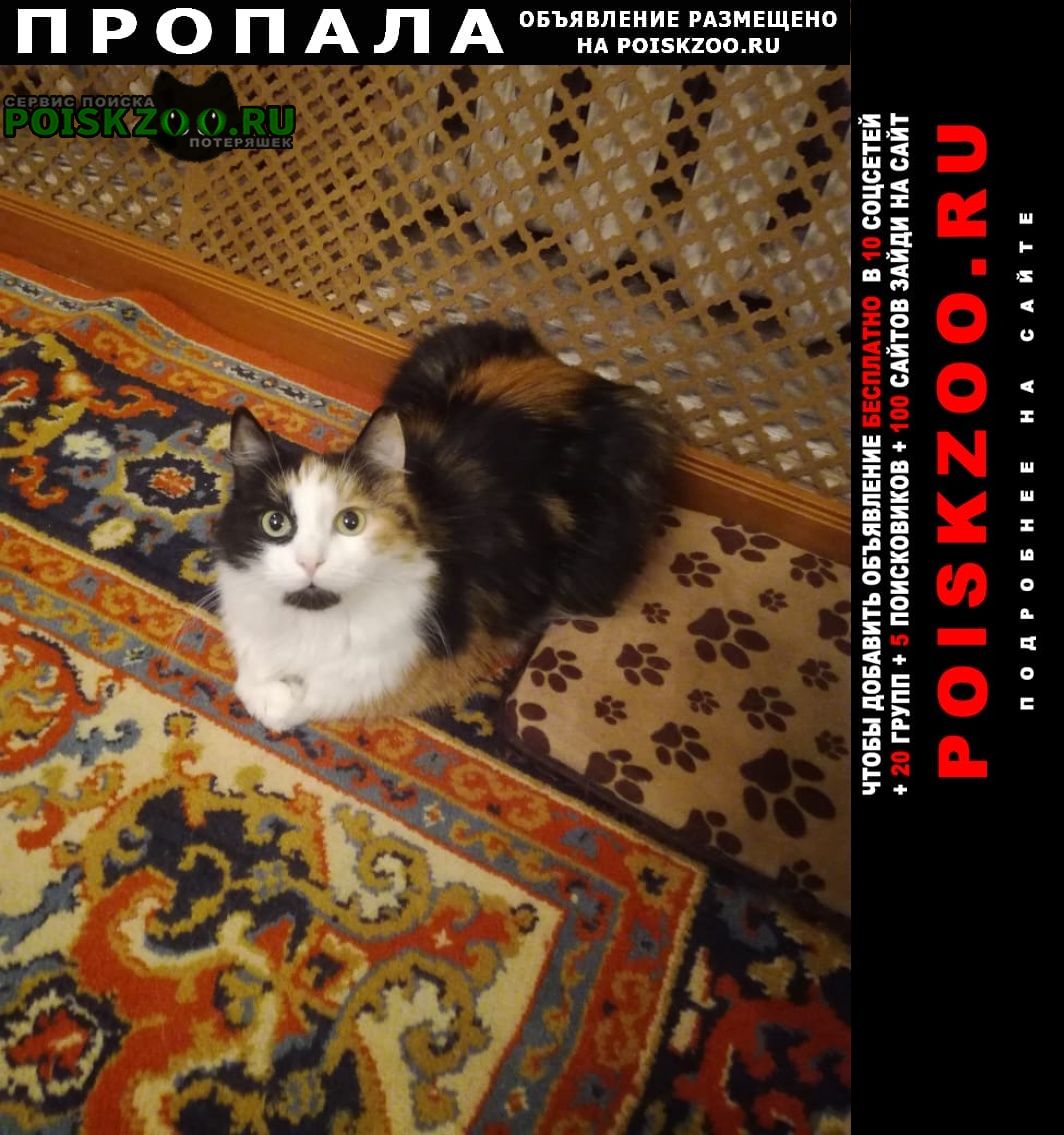 ���� ������� �����