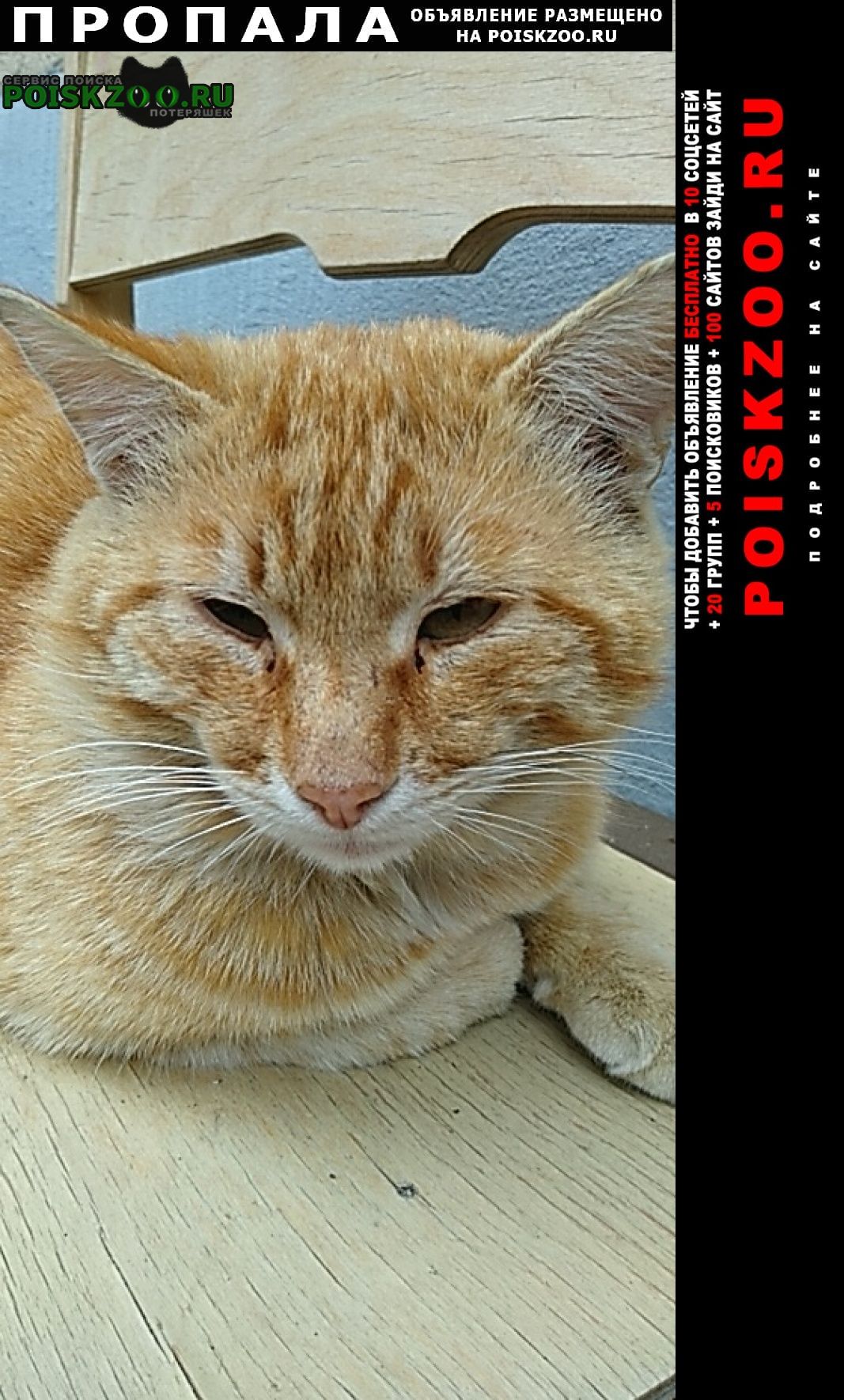 ���� ������ ��� ����� ���