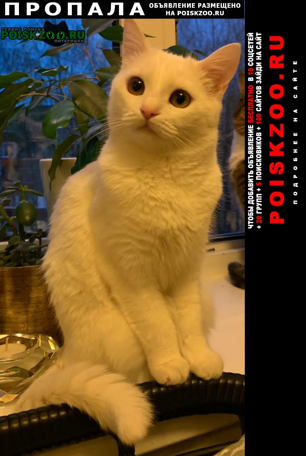 ���� ������� ����� ������� ����