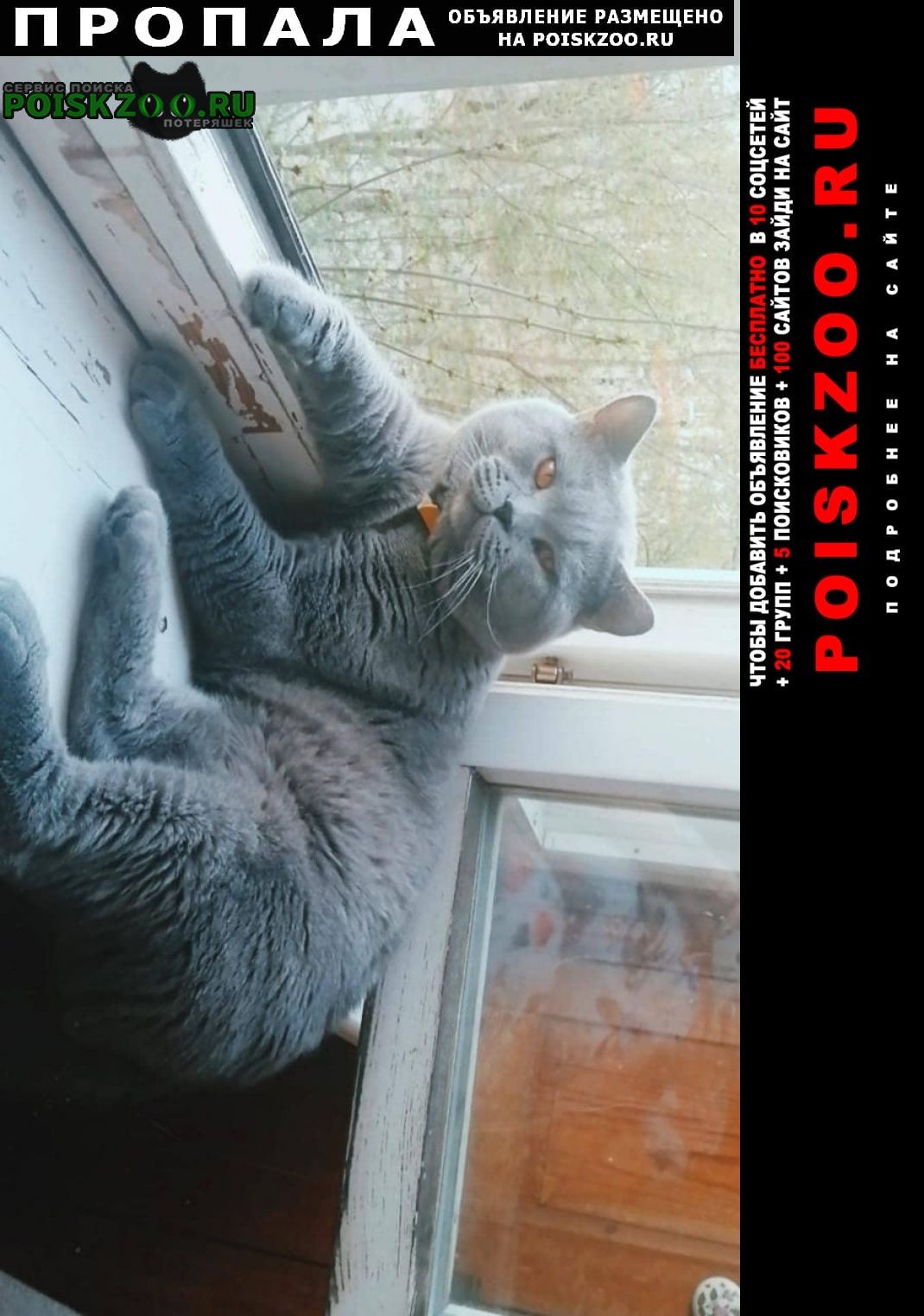 ���� ������ ���