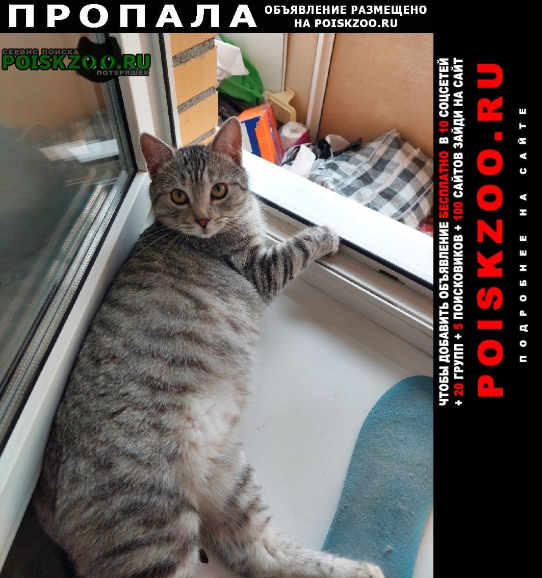 ���� ������ ���