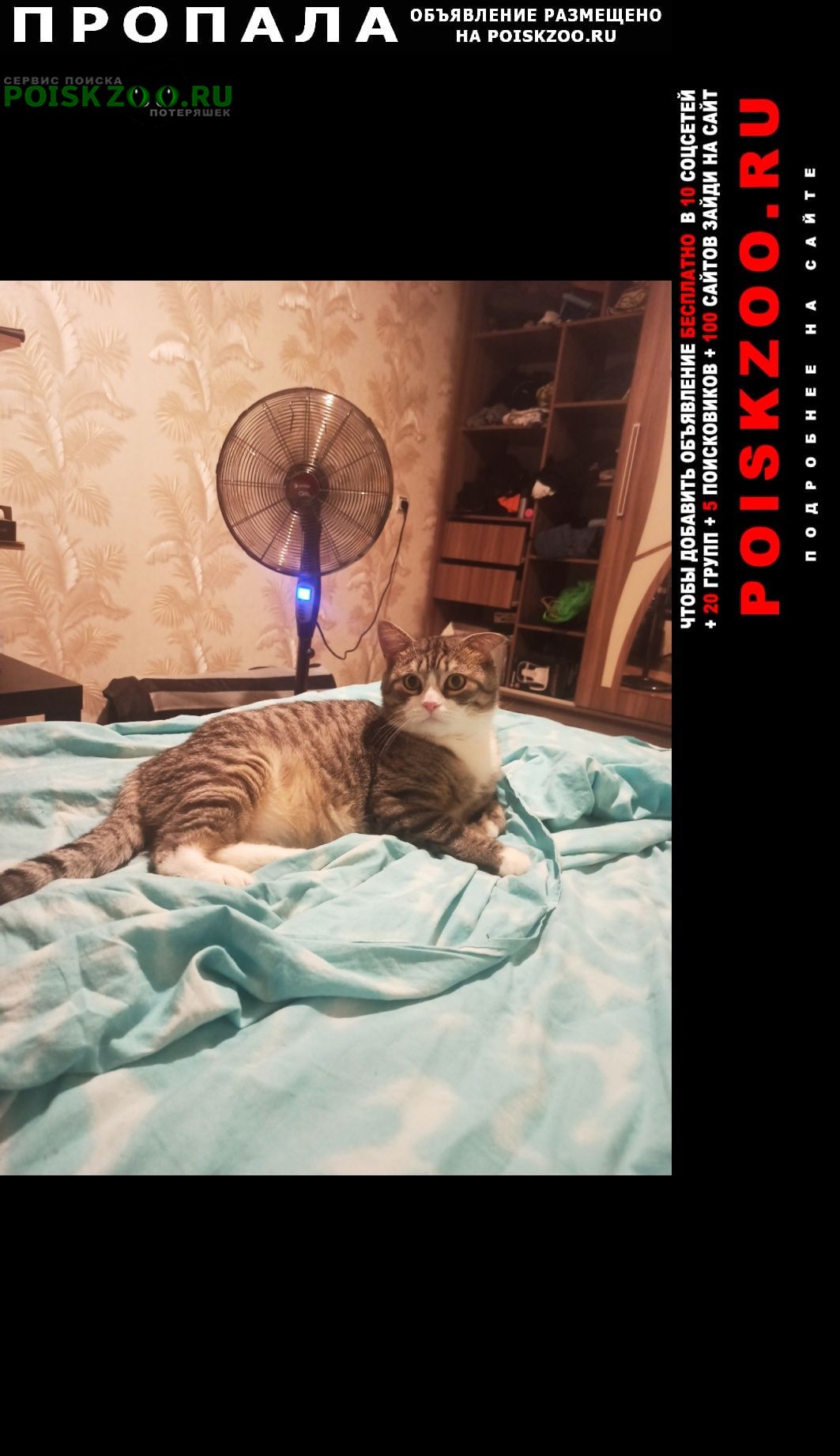 ���� ������ ���