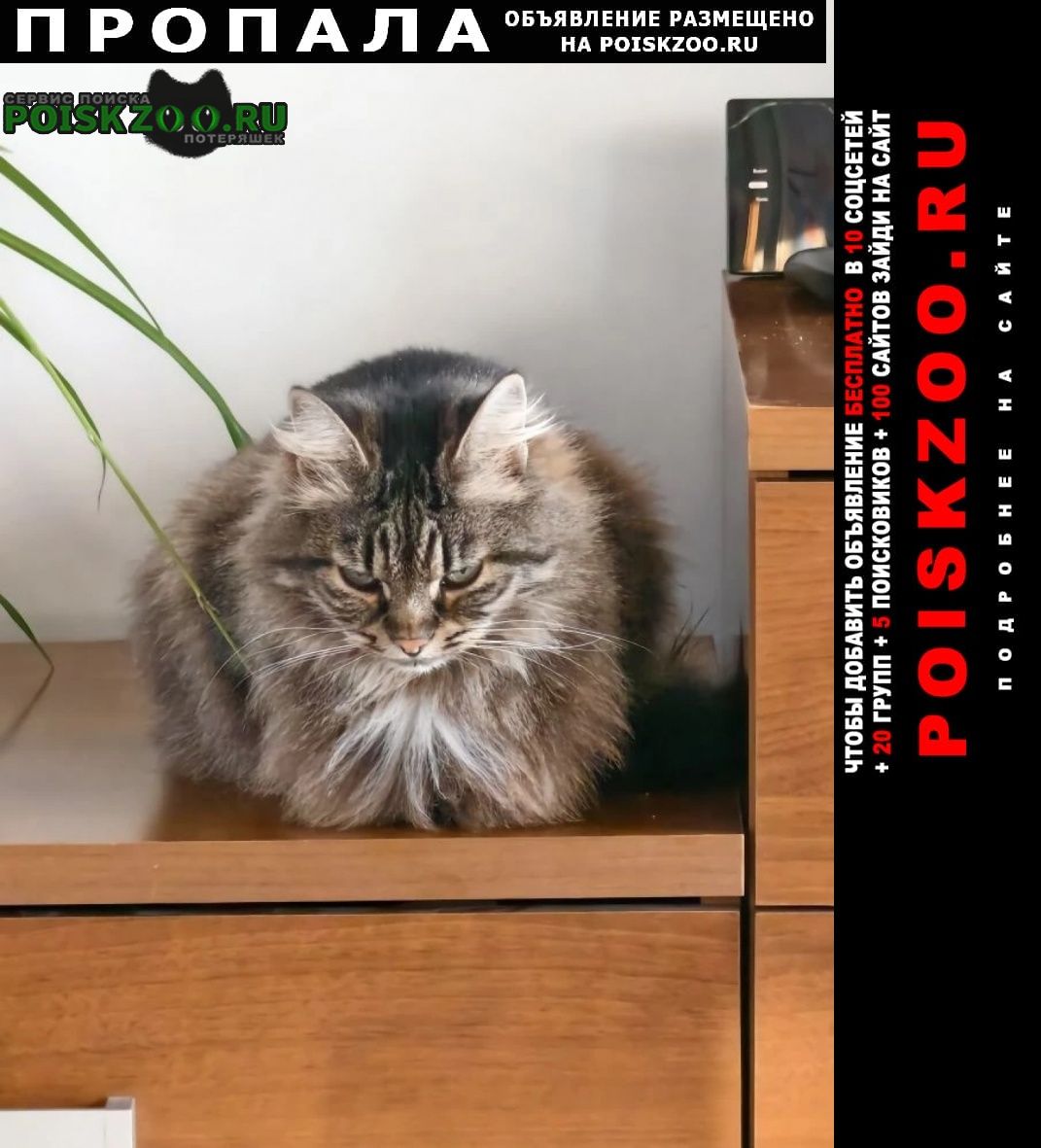 ���� ������� ����� 12 ������� 2026 ���� �����