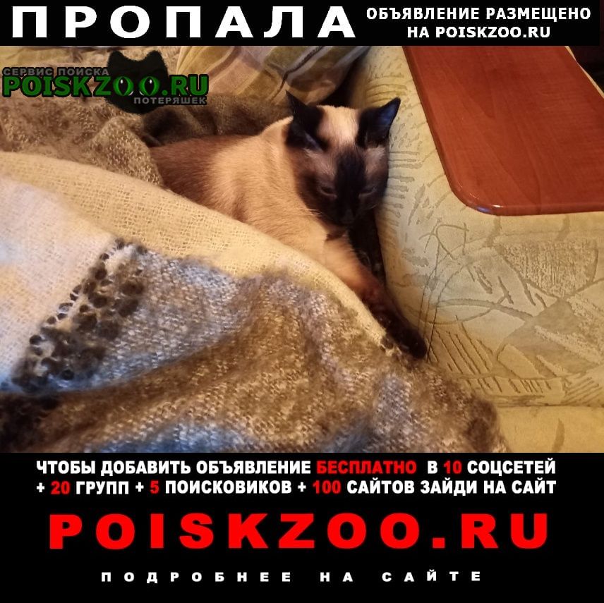 ���� ������� ����� �������� �������