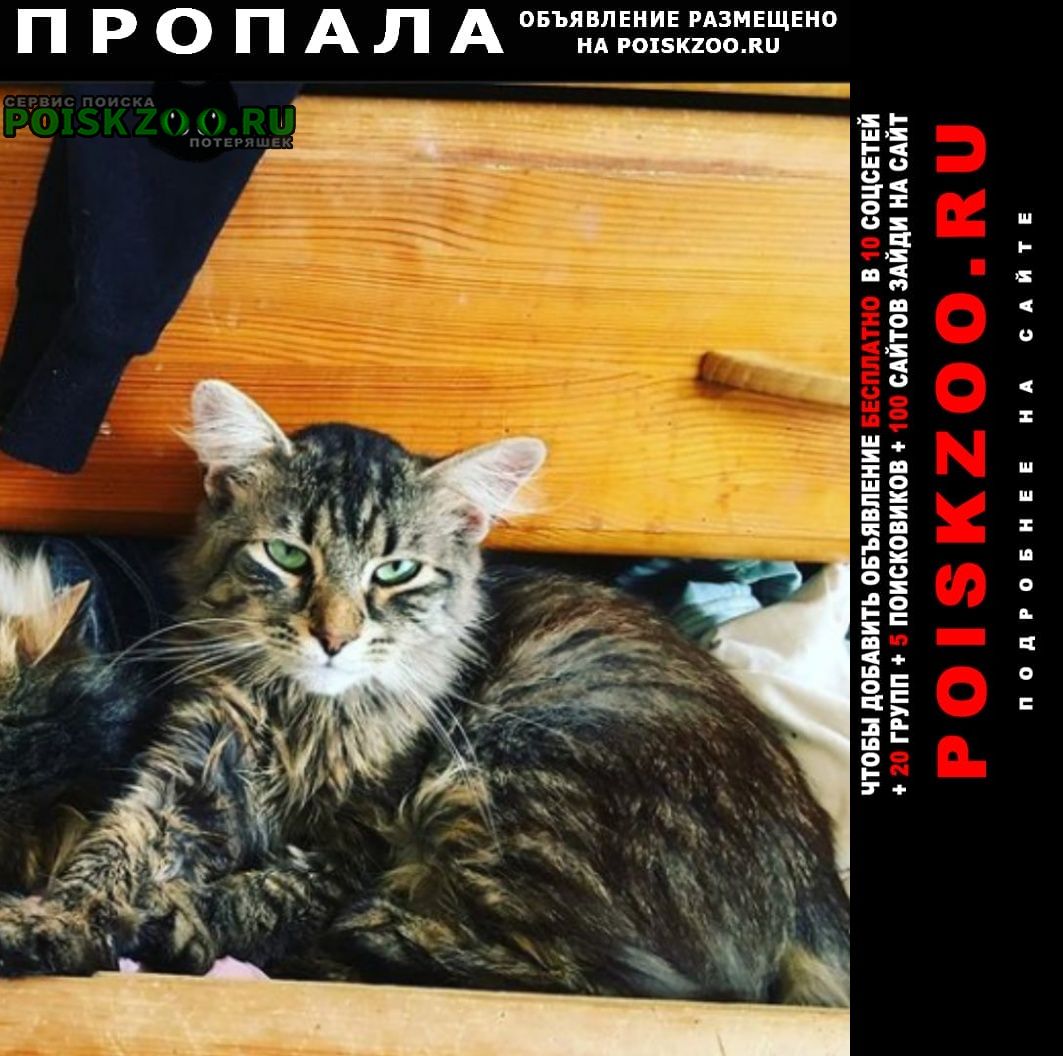 ���� ������ ���