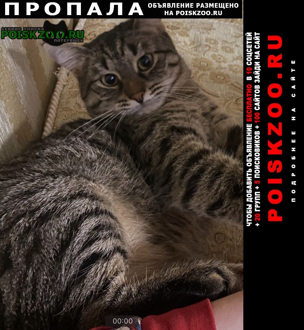 ���� ������ ���