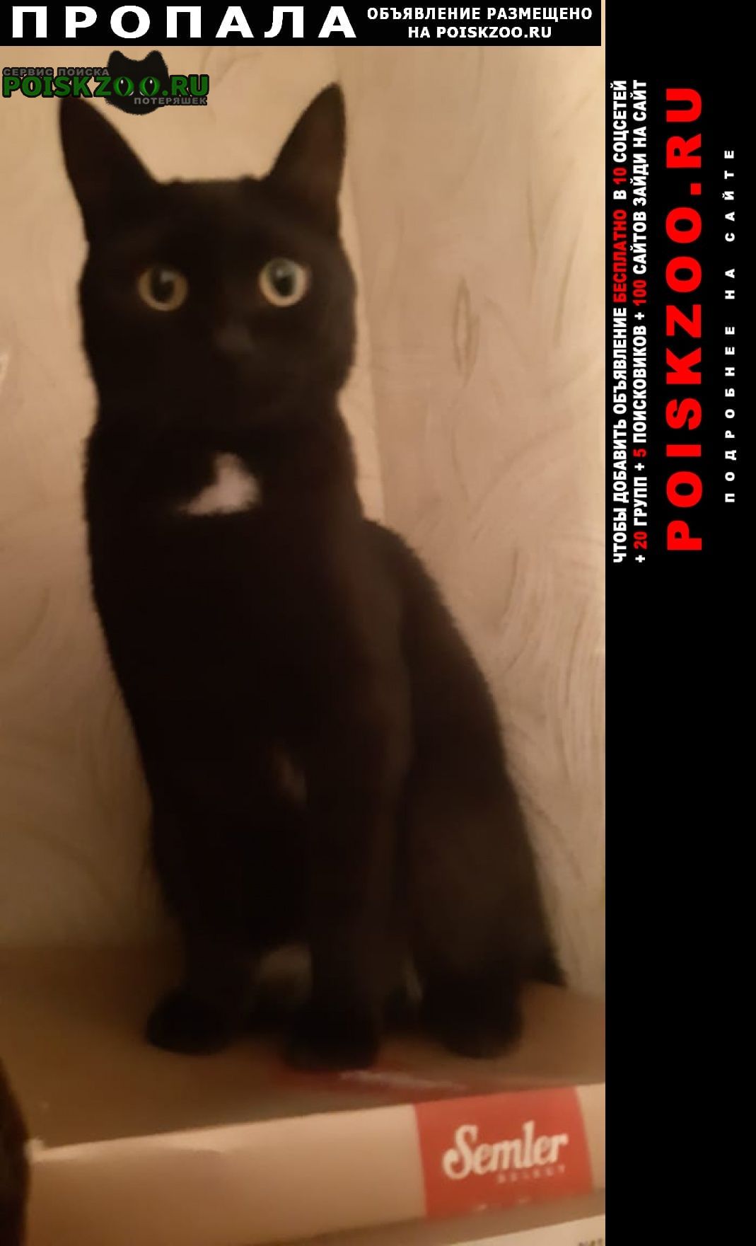 ���� ������ ��� ������ ���.