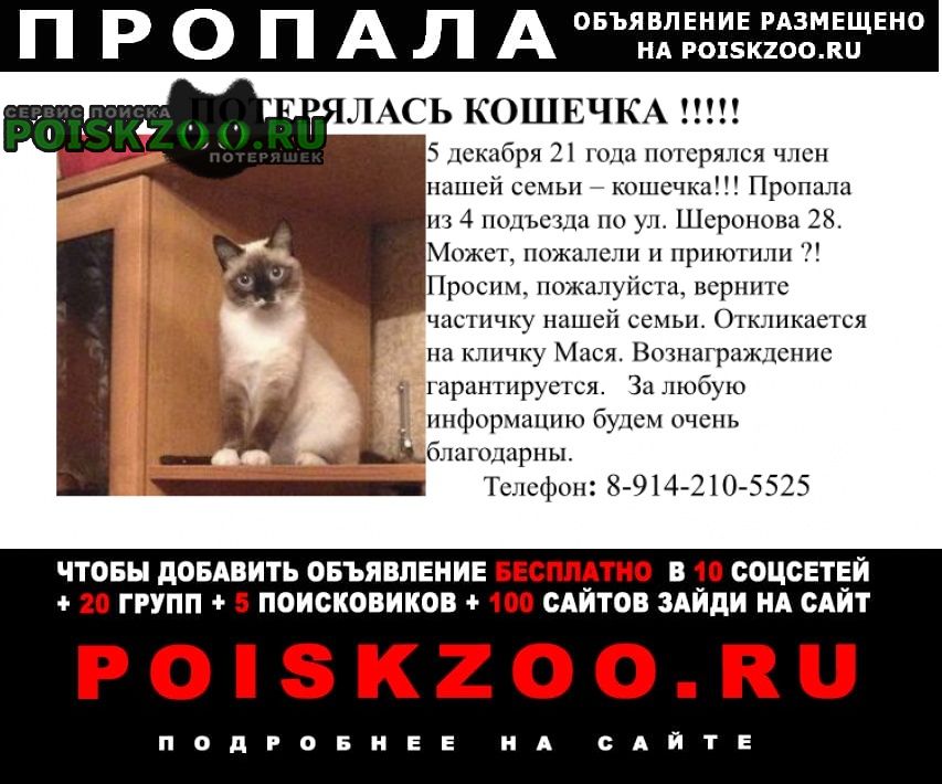 Пропала кошка Хабаровск
