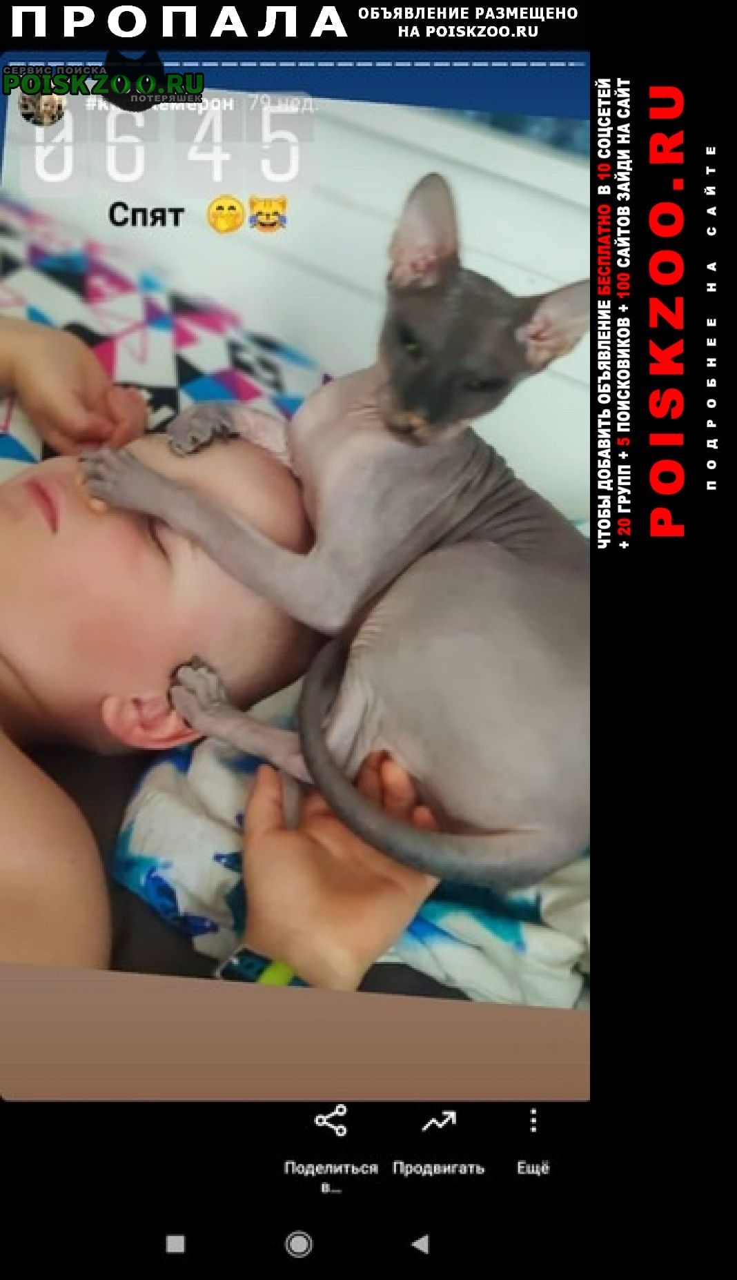 ���� ������� ����� 14.12 �������������� �������