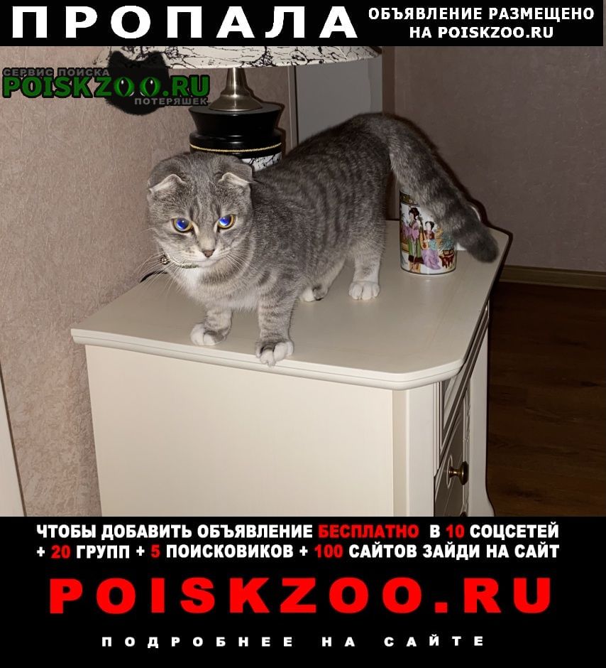 ���� ������� �����