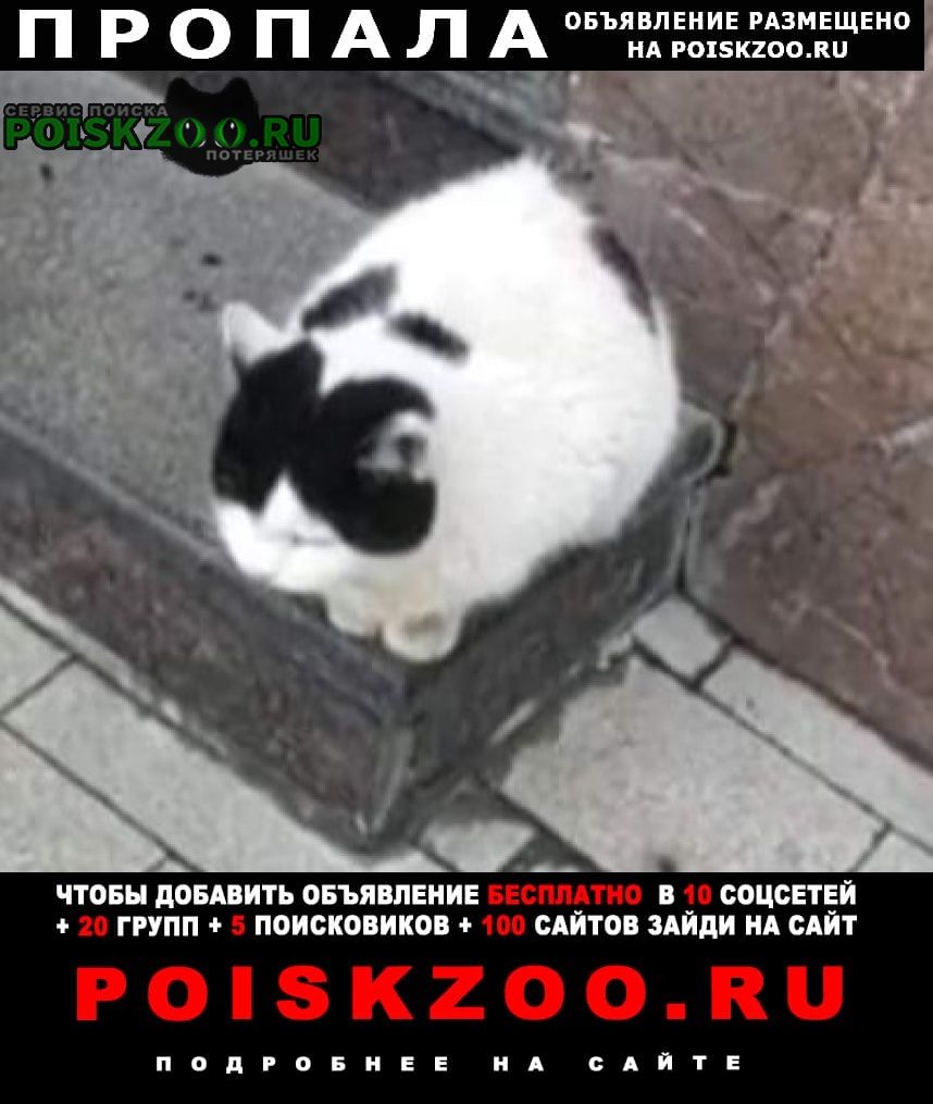 ���� ������� ����� �����-����� �����