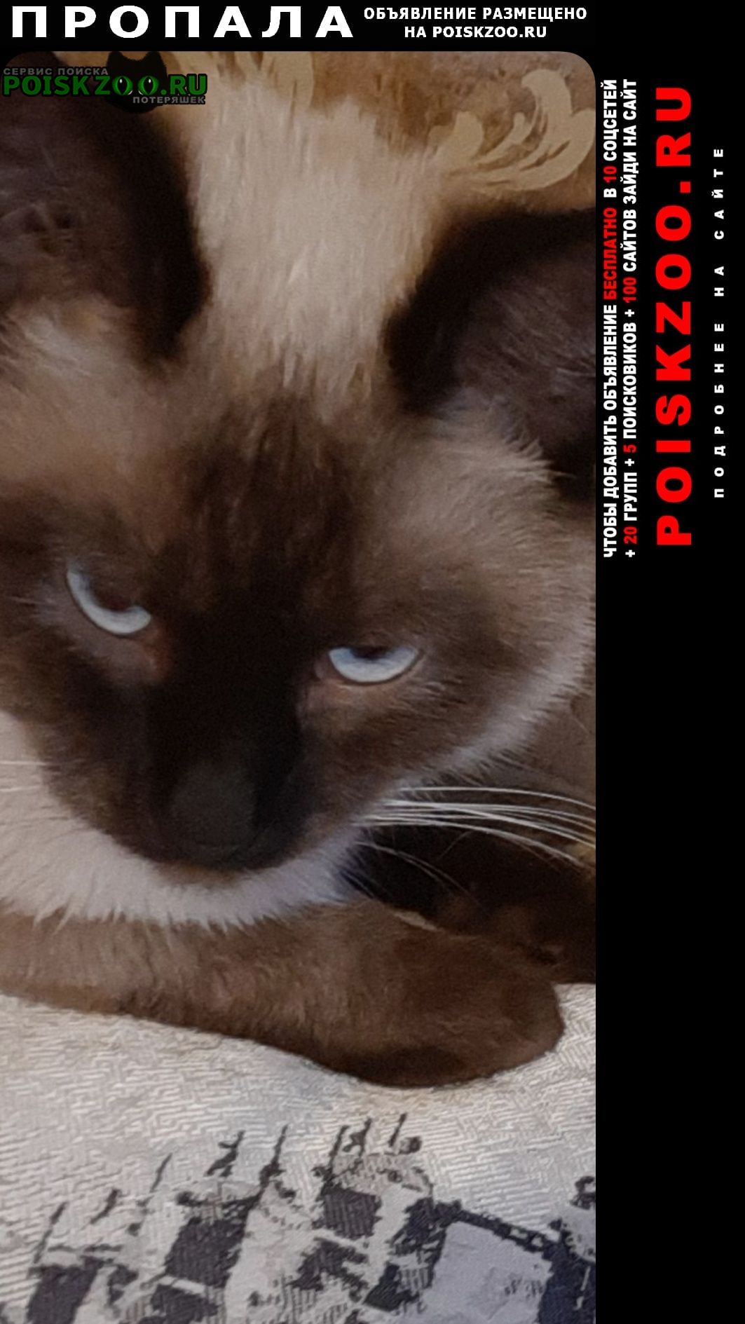 ���� ������ ��� �� ������ ����